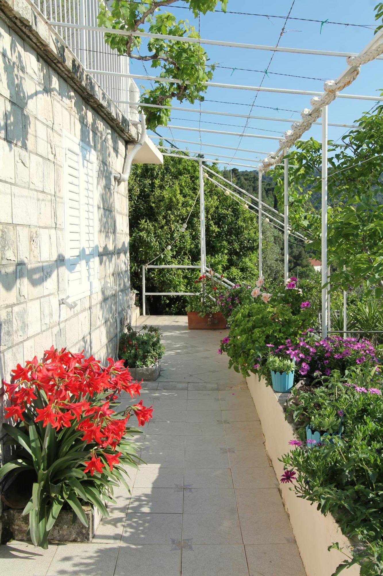 Apartments Cervelin Lopud Dış mekan fotoğraf