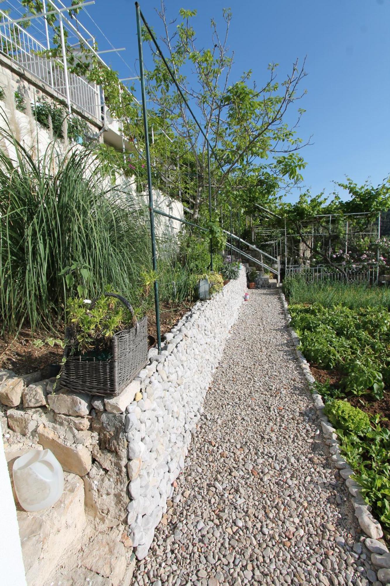 Apartments Cervelin Lopud Dış mekan fotoğraf