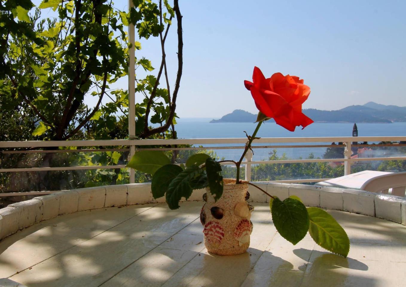 Apartments Cervelin Lopud Dış mekan fotoğraf