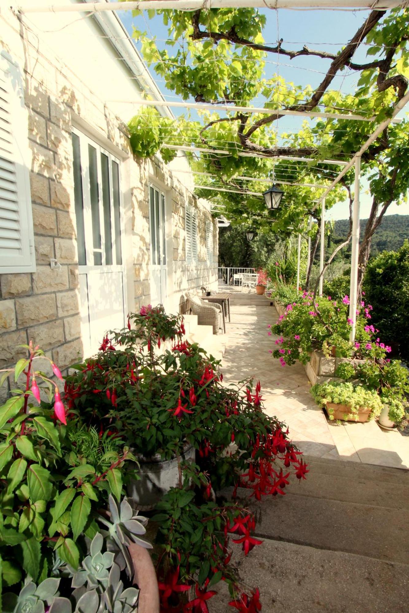 Apartments Cervelin Lopud Dış mekan fotoğraf