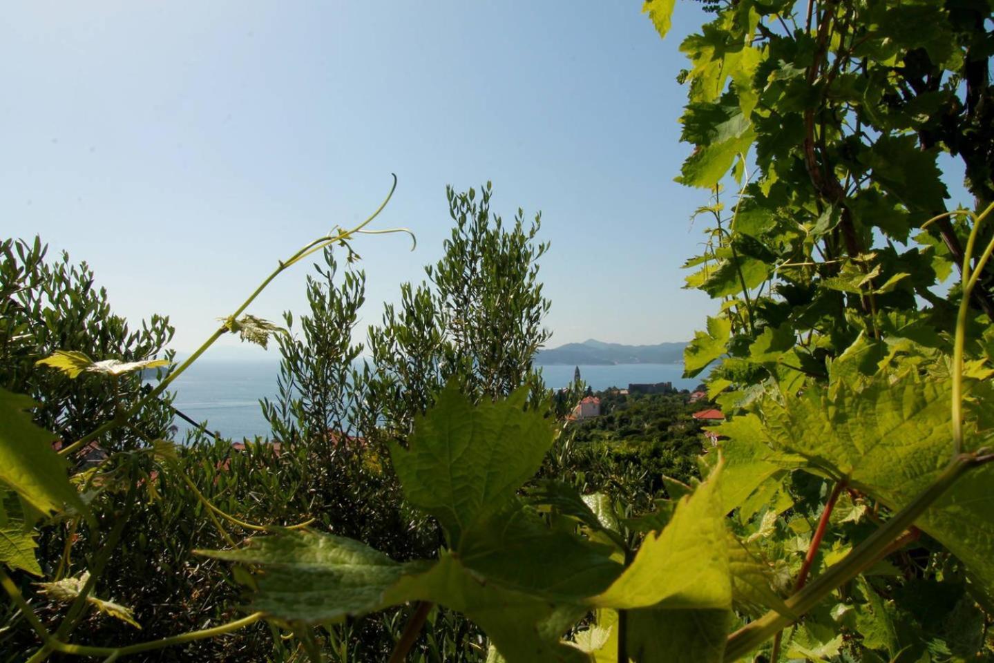 Apartments Cervelin Lopud Dış mekan fotoğraf